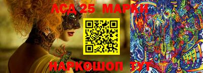 дмт Бийск