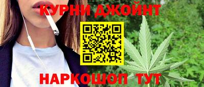 дмт Бийск