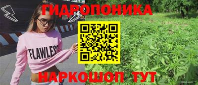 дмт Бийск