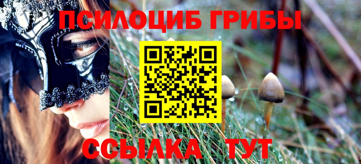 наркотики  Псилоцибиновые грибы Cubensis  Вход с VPN  Ижевск 