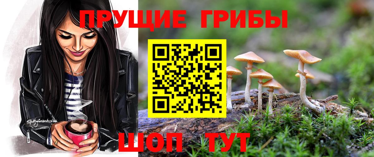 Псилоцибиновые грибы Cubensis Ижевск